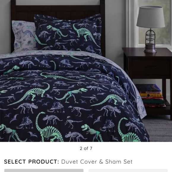 Pottery Barn Kids Other Pottery Barn Kids Single Dinosaurs Glow In